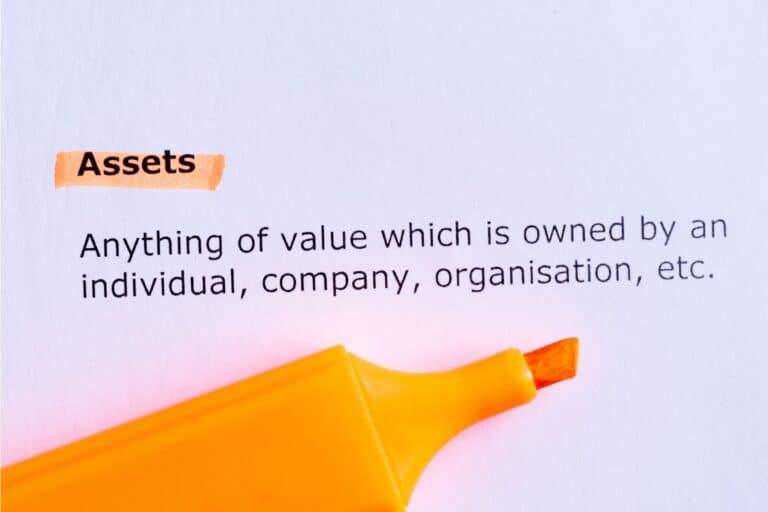 Text: Assets Anything Of Value Which Is Owned By An Individual, Company, Organisation, Etc