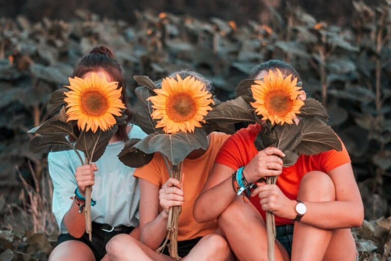 Three Girls Holding Large Sunflowers In Front Of Their Faces