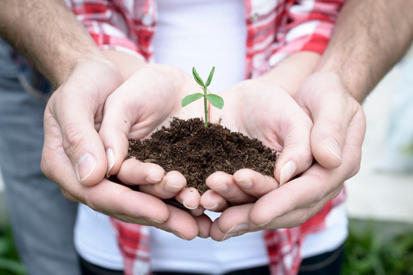 How To Nurture A Relationship, communication, relationship therapy or mediation, connecting and choosing your partner daily