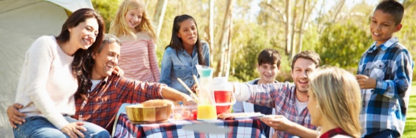 Picnic Scene With Multicultural Blended Family